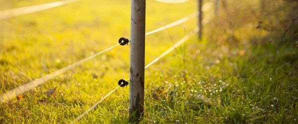 Gardul electric - o necesitate atat pentru fermieri cat si pentru agricultori