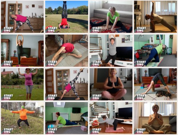 Final de proiect Go Yoga 55+