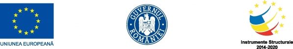 Anunț finalizare implementare măsura “Granturi pentru capital de lucru acordate beneficiarilor” - NANO INTELLIGENCE S.R.L.