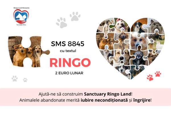 Asociația No Limit Pets construiește adăpostul de animale Sanctuary Ringo Land. Donează 2 euro lunar la 8845 și ajută câinii să ajungă ACASĂ