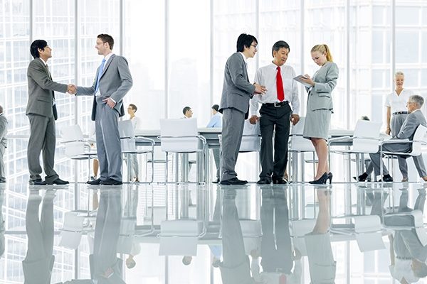 Media Maestra: Agenția care transformă strategia digitală în rezultate reale pentru afaceri din România