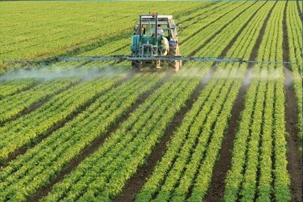 ANUNȚ finalizare implementare măsura "Granturi pentru capital de lucru AGRI-FOOD" pentru SC MEAT PRODUCT INTERNATIONAL SRL