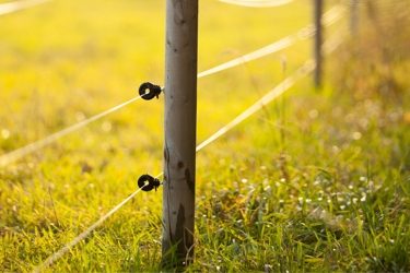 Gardul electric - o necesitate atat pentru fermieri cat si pentru agricultori