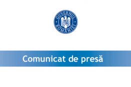 Finalizare implementare măsura “Granturi pentru capital de lucru” - SELF INF SERV S.R.L.