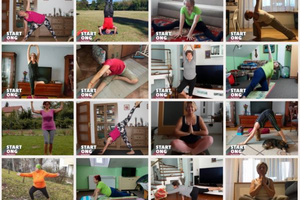 Final de proiect Go Yoga 55+