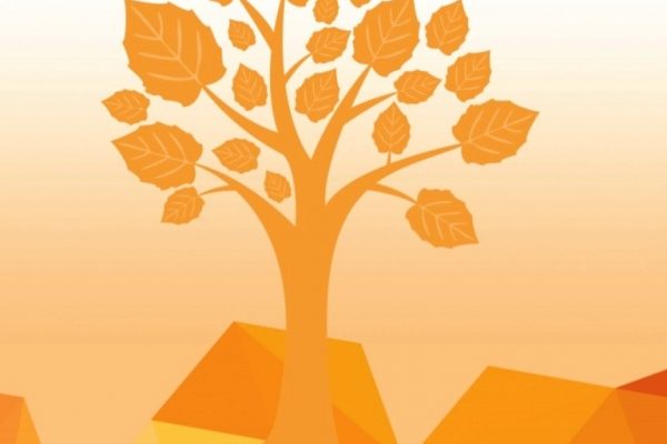 Finalizarea proiectului ”IQ IMMA - Inovare si Calificare - Implicat, Motivat, Mobilizat, Angajat”
