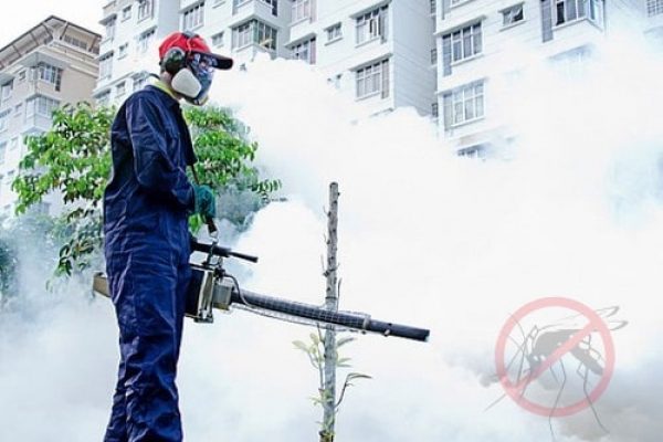 Portal de promovare Firma Deratizare, Dezinsectie, Dezinfectie